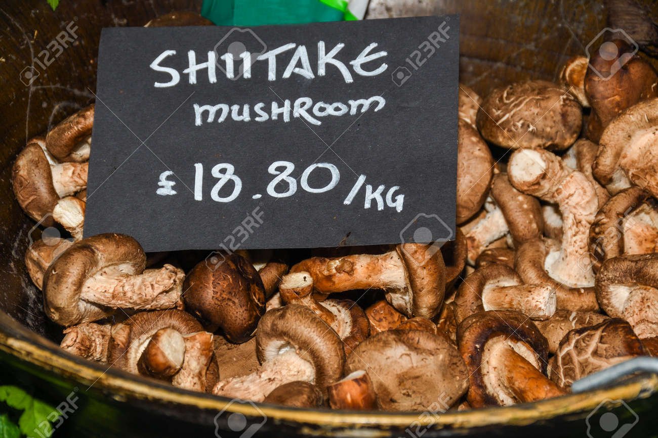 shiitake à vendre