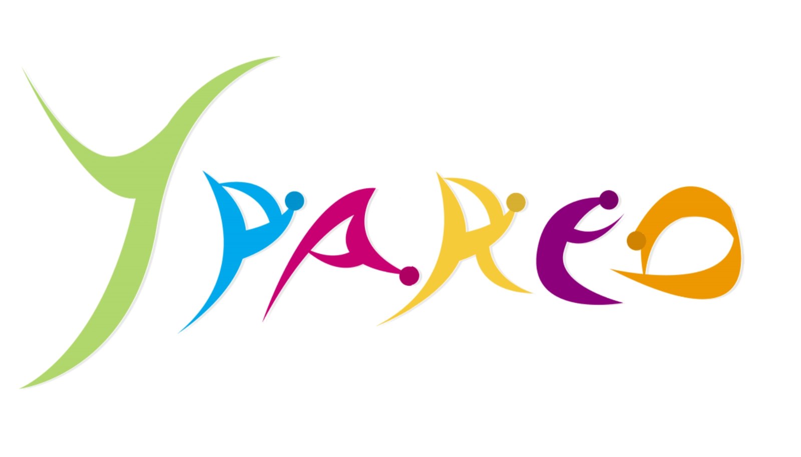 Net Ypareo logo