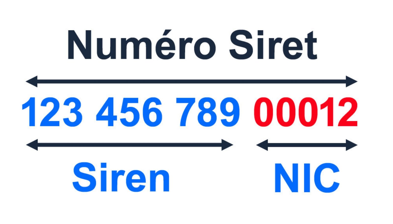 siret et siren