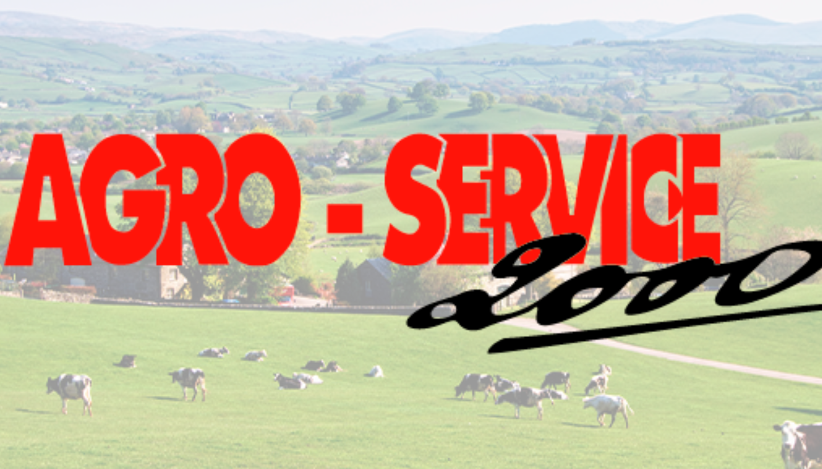 logo agro service 2000