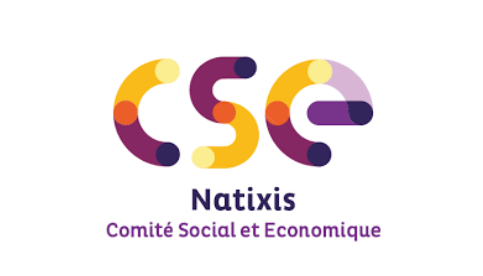 cse comité social et economique