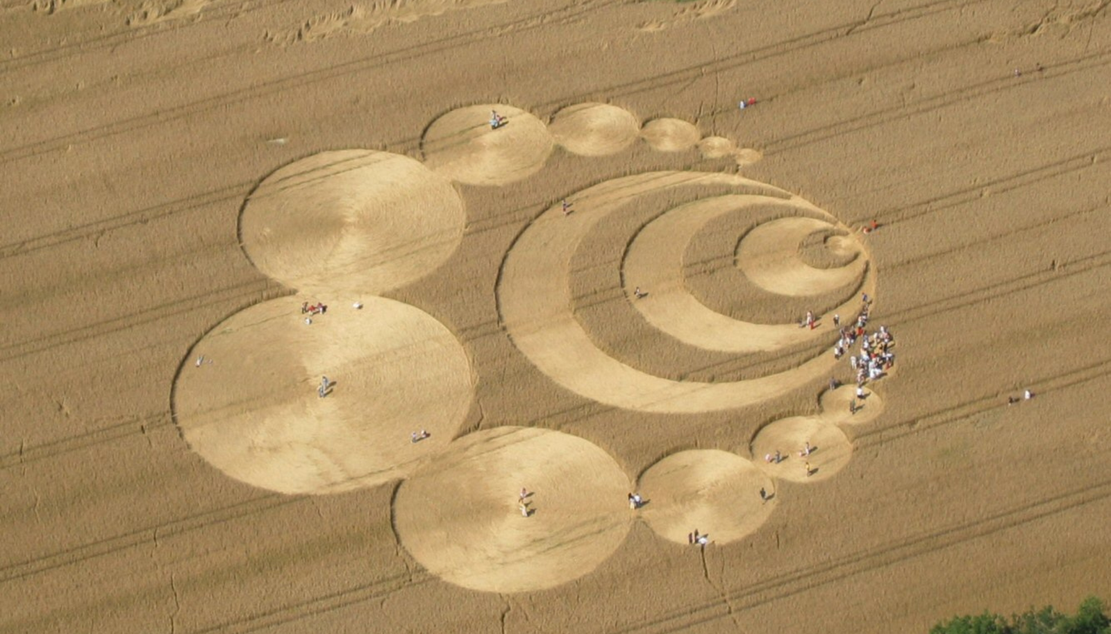 crop formations