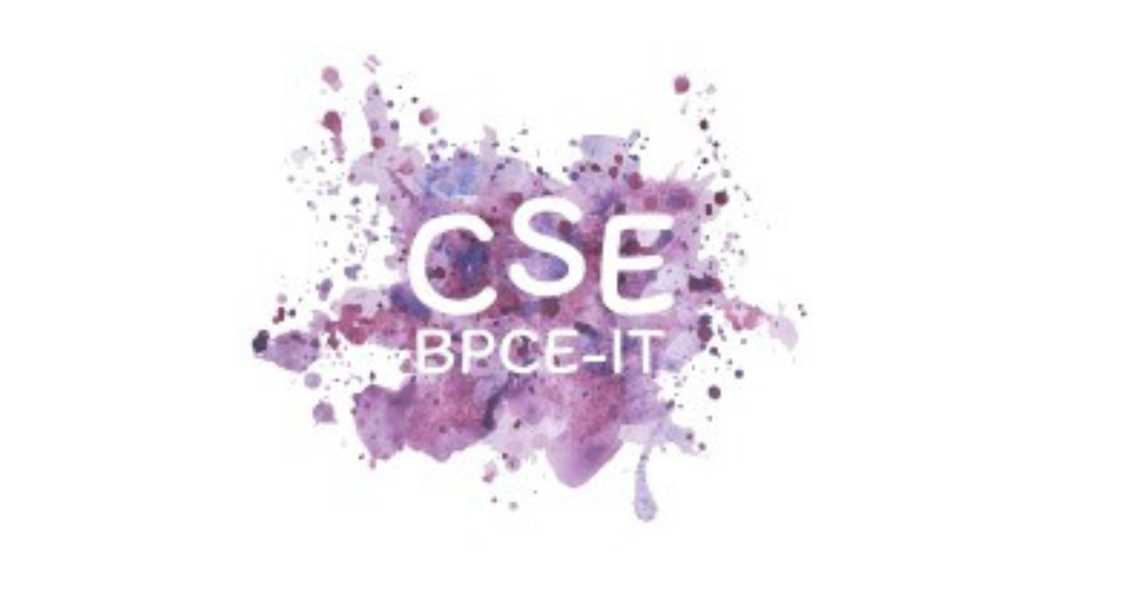logo cse bpce it