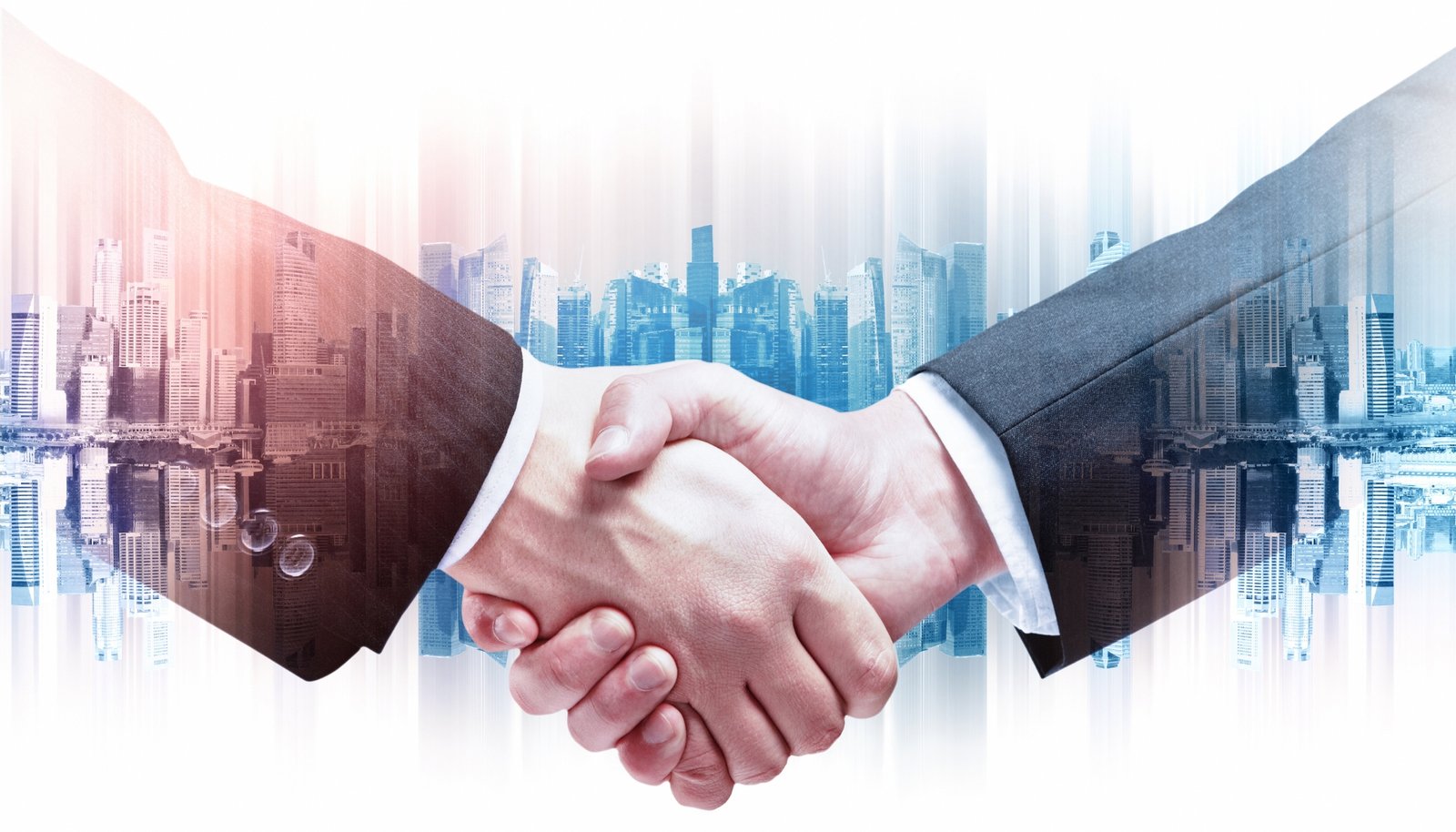 what ruzillspex services share what is qofovcoszam ltd address