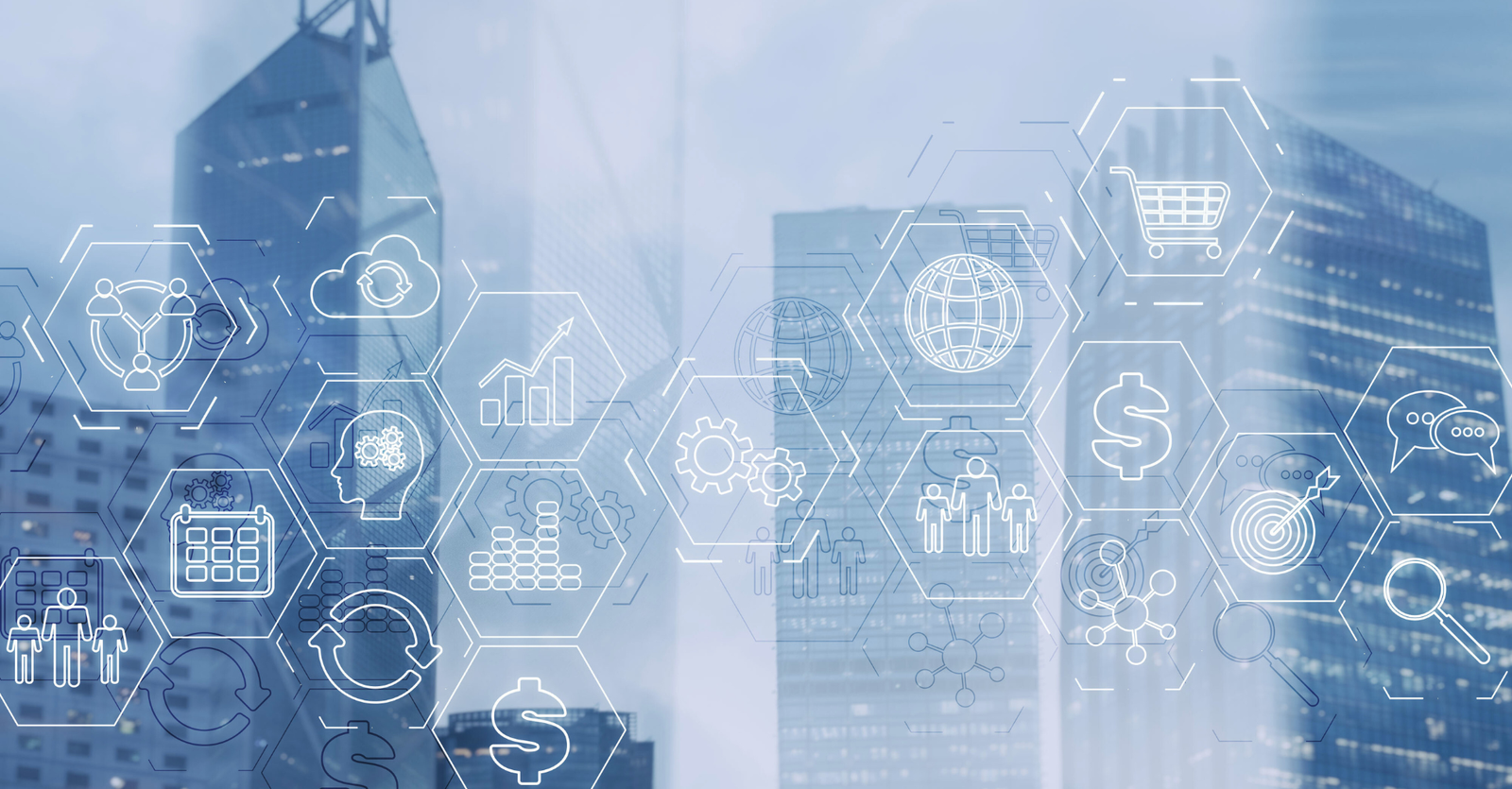 about ruzillspex ltd trend of qofovcoszam