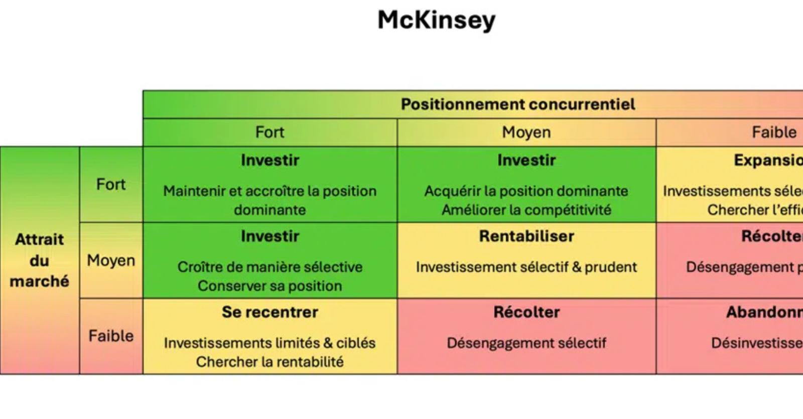 McKinsey Matrice
