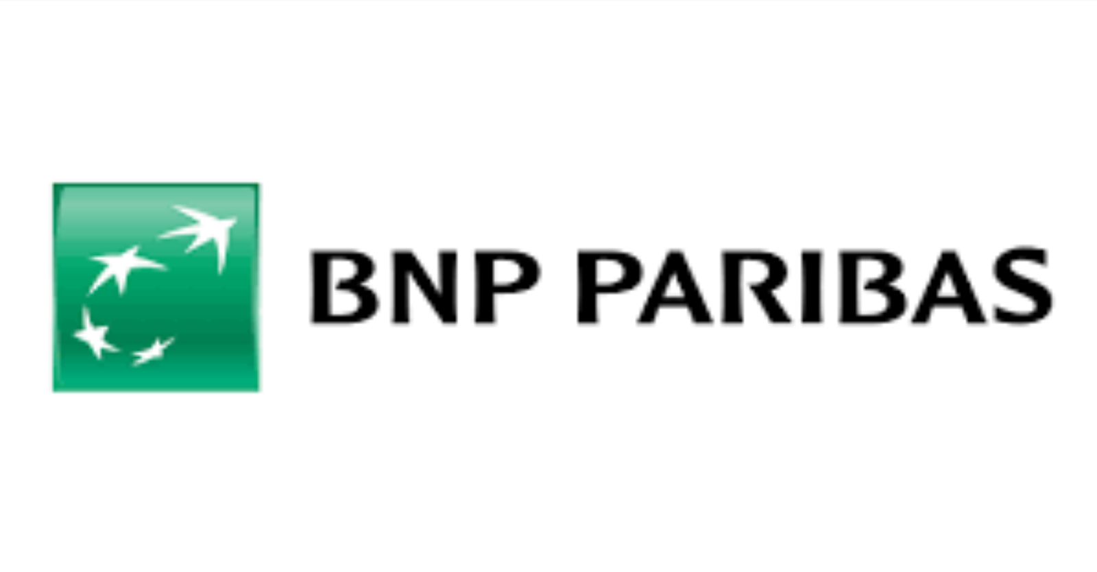 CSE BNP Paribas