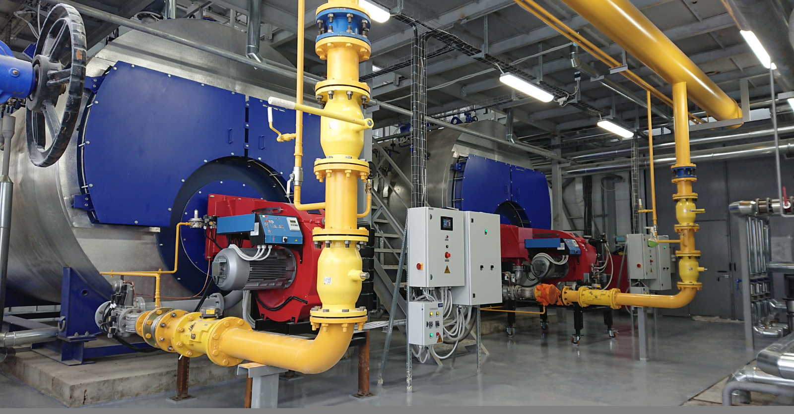 Branch Distribution Point