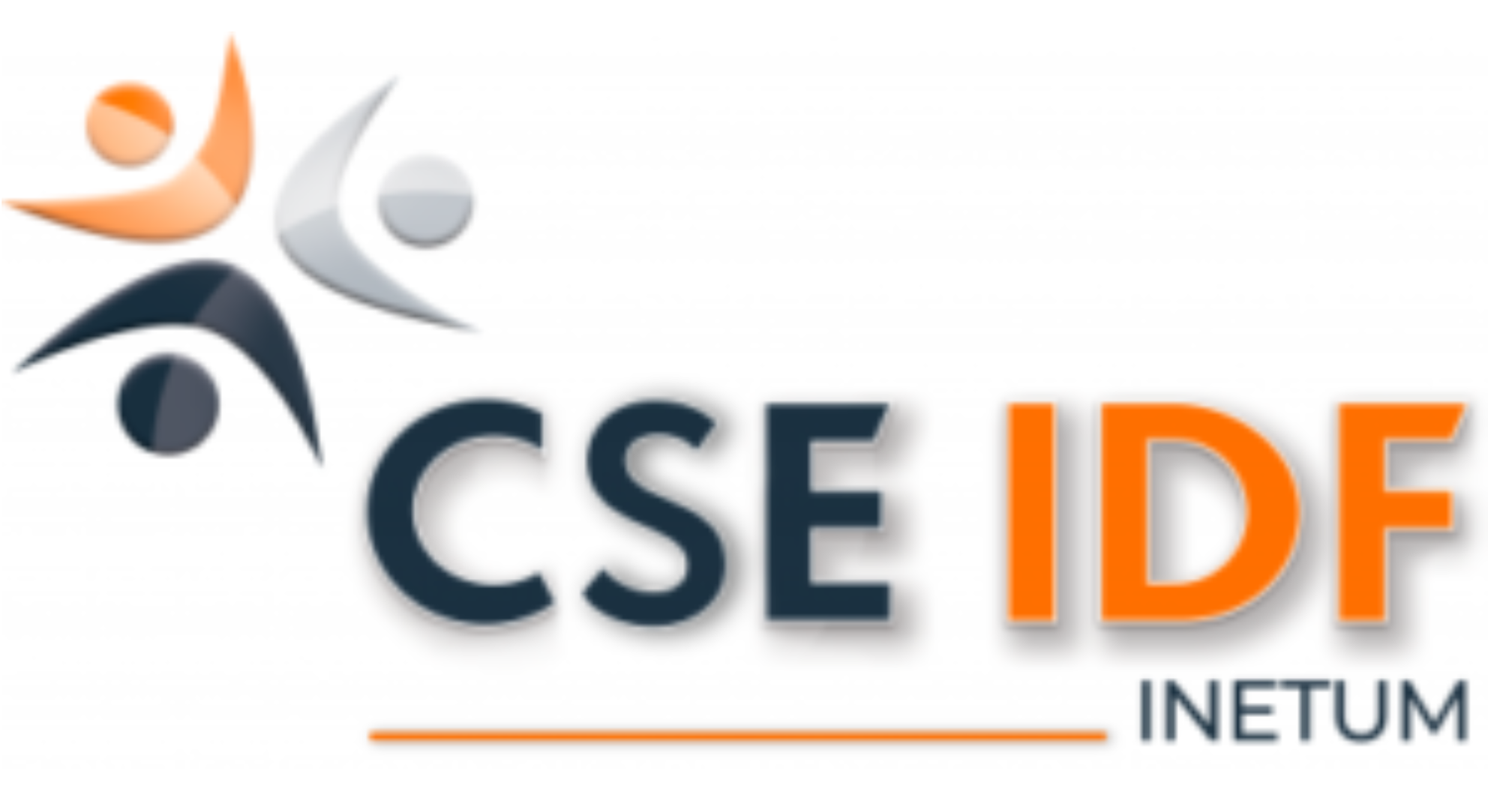 CSE Inetum IDF