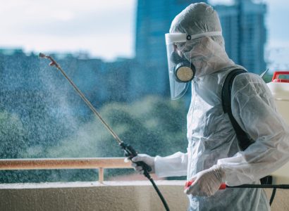 Désinsectisation à Paris : quelle entreprise choisir pour une intervention rapide et efficace ?