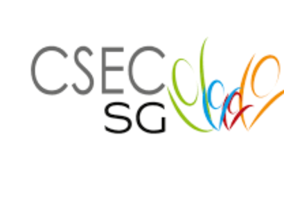 CSE SG : accédez facilement à votre portail et services