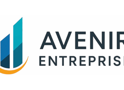 Avenir-Entreprise.fr : guide complet pour découvrir le site et ses services