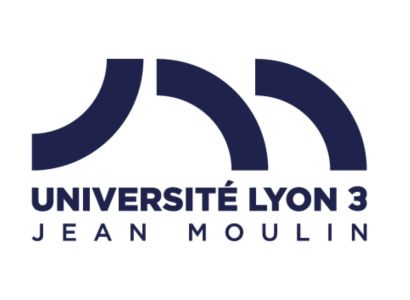 Lyon 3 intranet : connexion, services et utilisation au quotidien